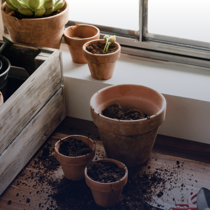 Emptying flower pots is one task to complete to winterize a home