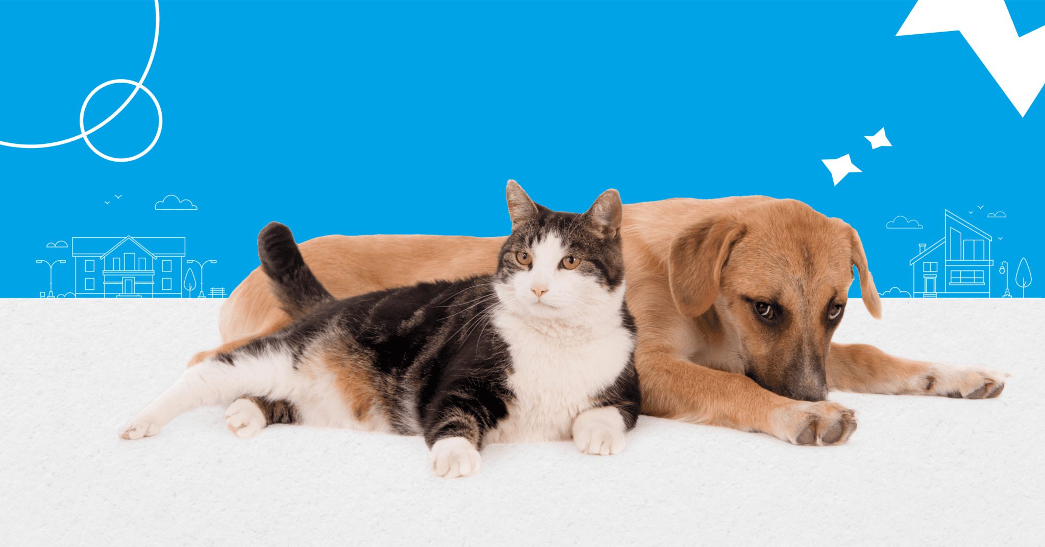 Why You Should Make Your Rental Pet-Friendly (and How)