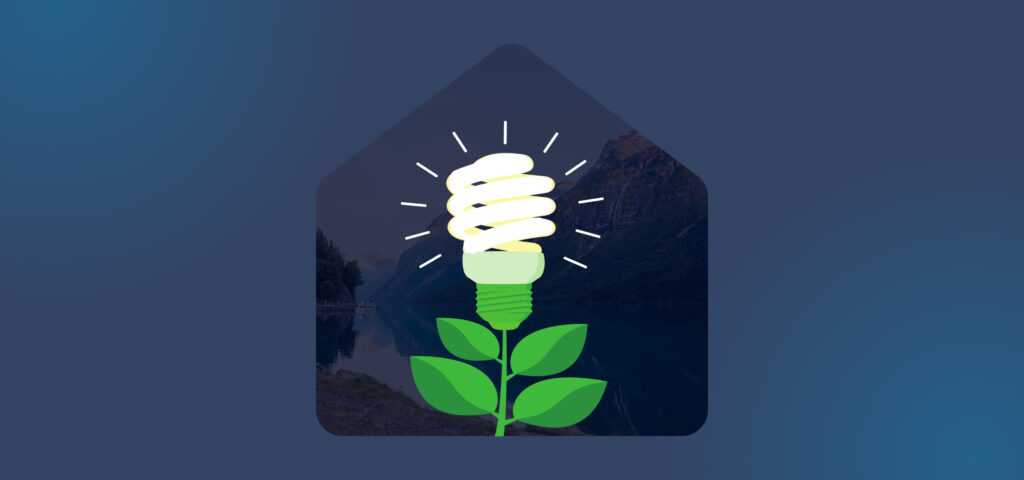 Glowing light bulb growing from a plant stem inside a house-shaped frame.